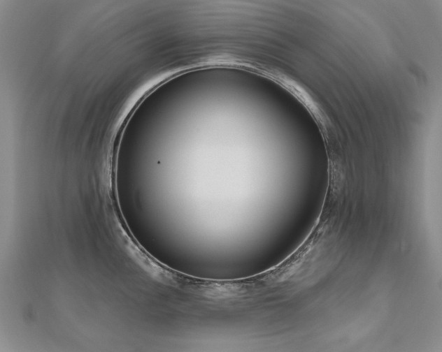 X0000112541148200908171437