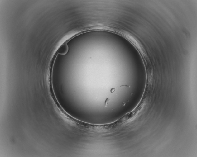 X0000112541149200908171437