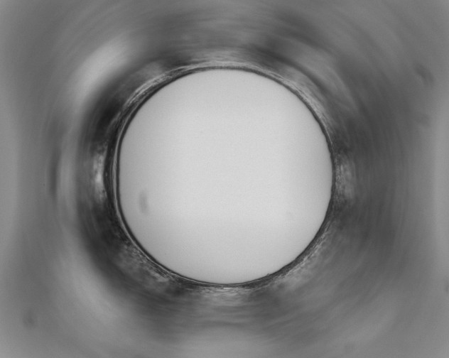 X0000112541150200908171437