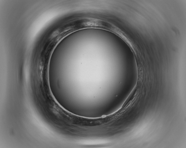 X0000112541151200908171437