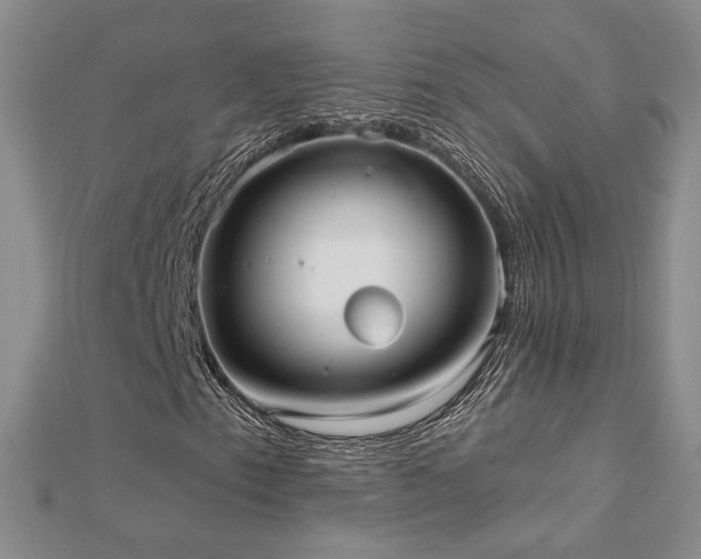 X0000112541153200908171436