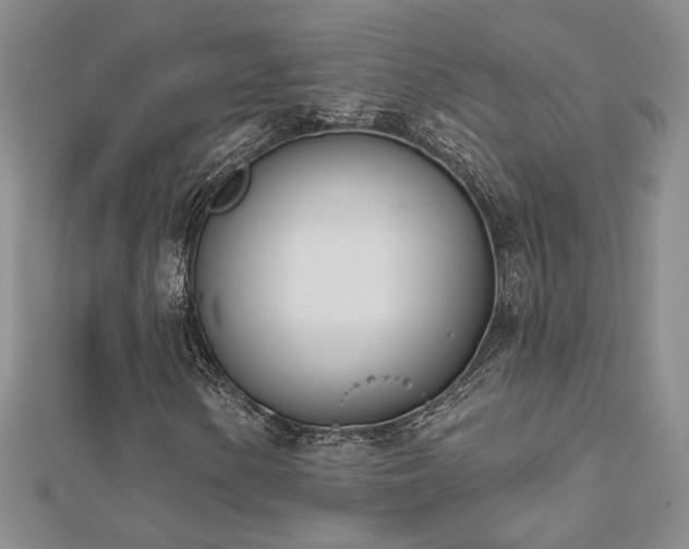 X0000112541154200908171436