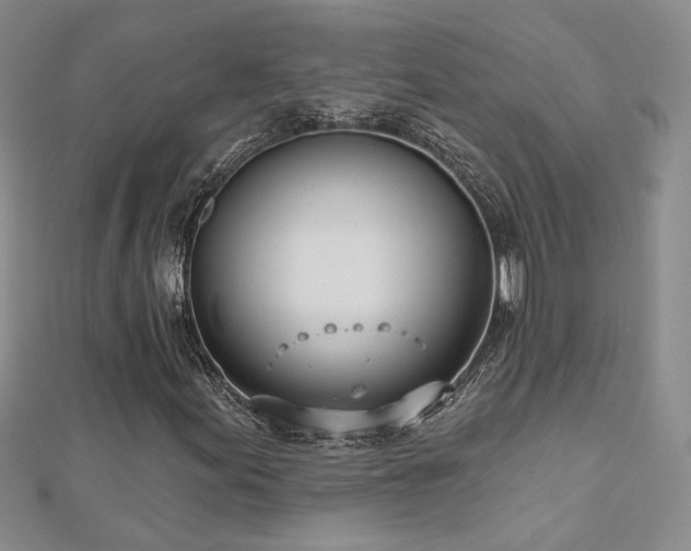 X0000112541155200908171436