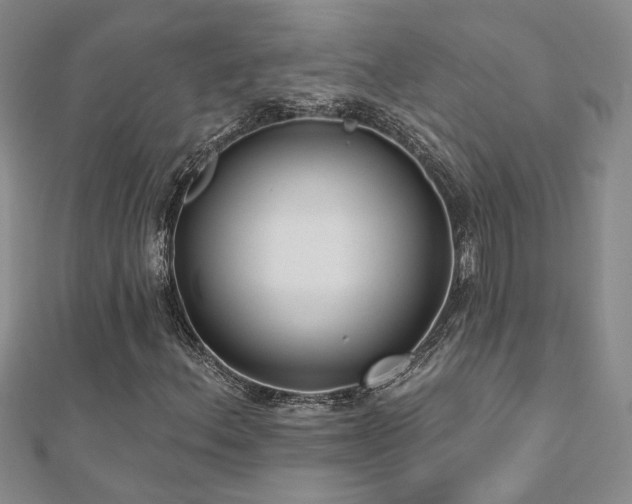 X0000112541156200908171436