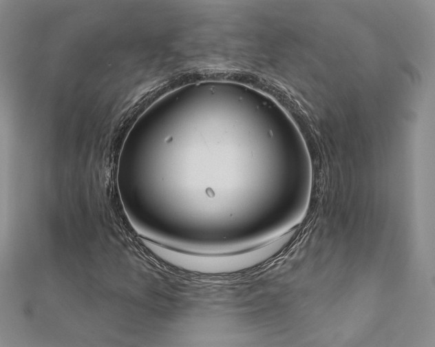 X0000112541157200908171436