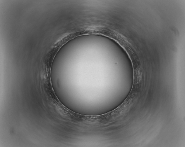 X0000112541158200908171436