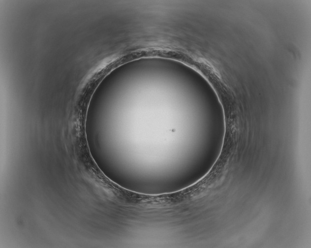 X0000112541159200908171436