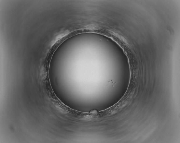 X0000112541160200908171436