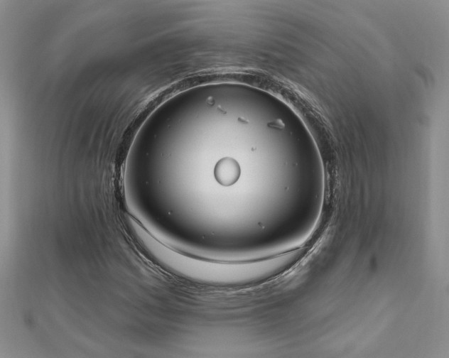 X0000112541161200908171436