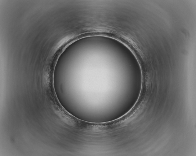 X0000112541163200908171436
