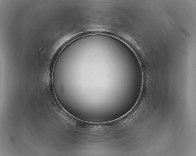 X0000112541167200908171436