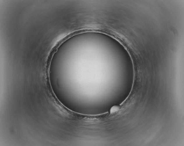 X0000112541168200908171436