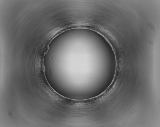 X0000112541169200908171436