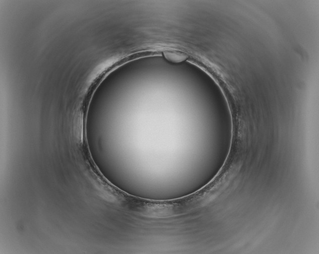 X0000112541171200908171436