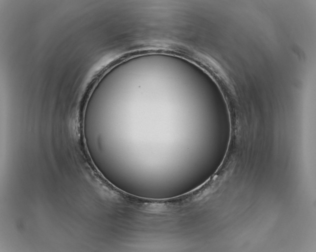 X0000112541172200908171436