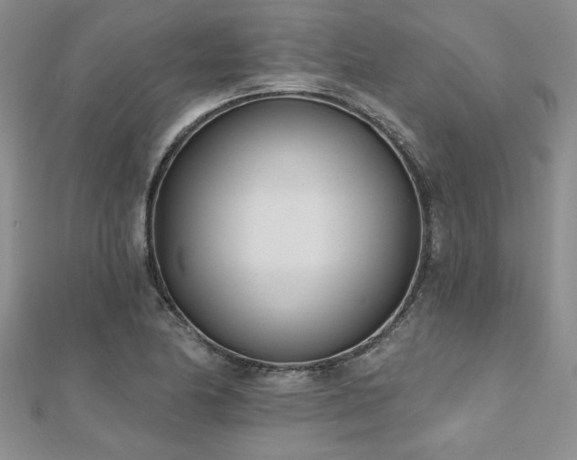 X0000112541174200908171436