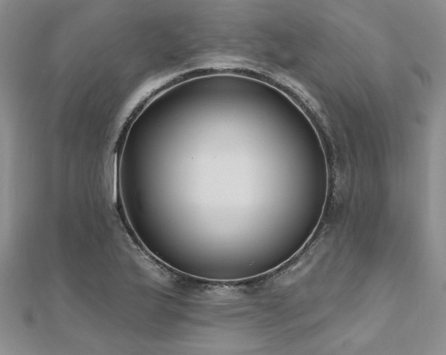 X0000112541175200908171436