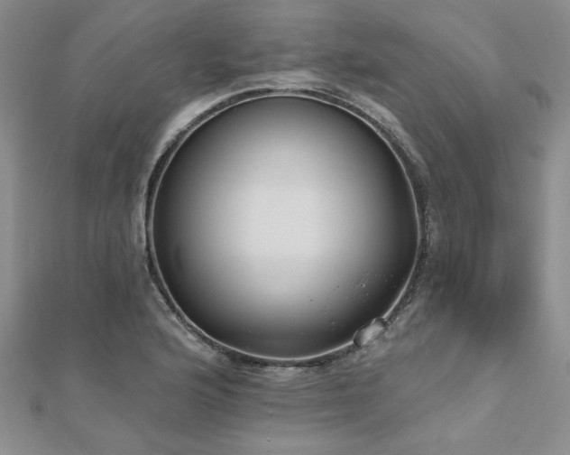 X0000112541176200908171436