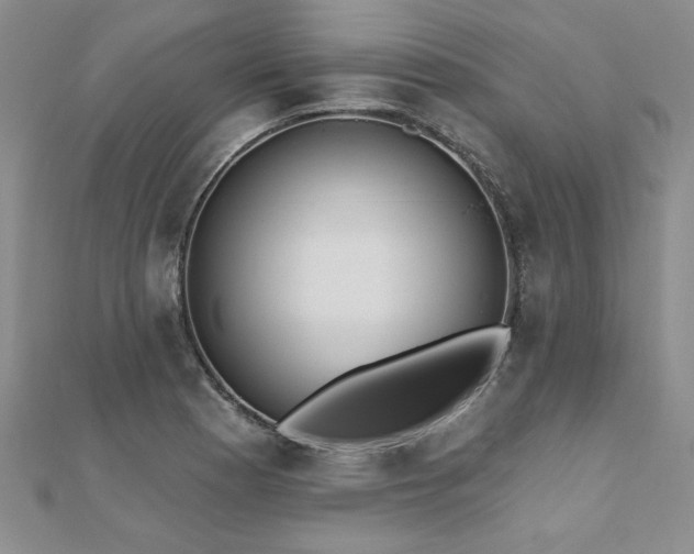 X0000112541177200908171436