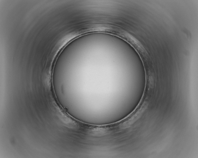 X0000112541178200908171436