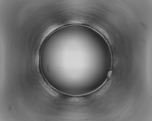 X0000112541179200908171436