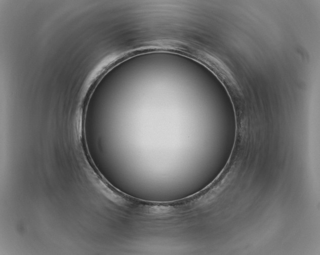 X0000112541180200908171436