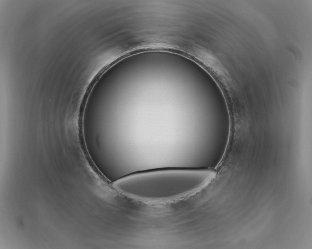 X0000112541181200908171436