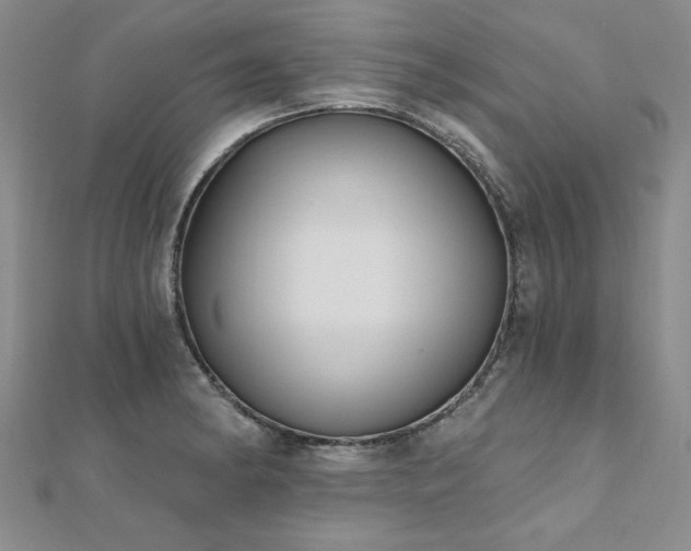 X0000112541182200908171436
