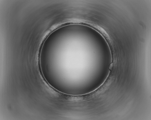 X0000112541183200908171436