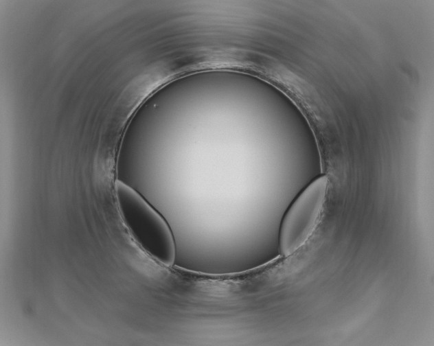 X0000112541185200908171436