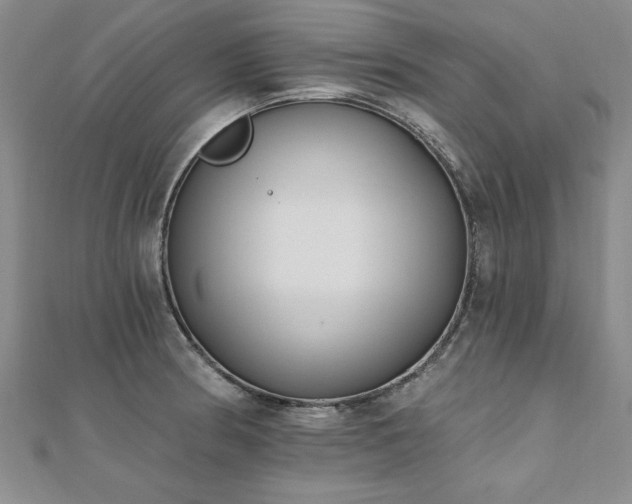 X0000112541186200908171436
