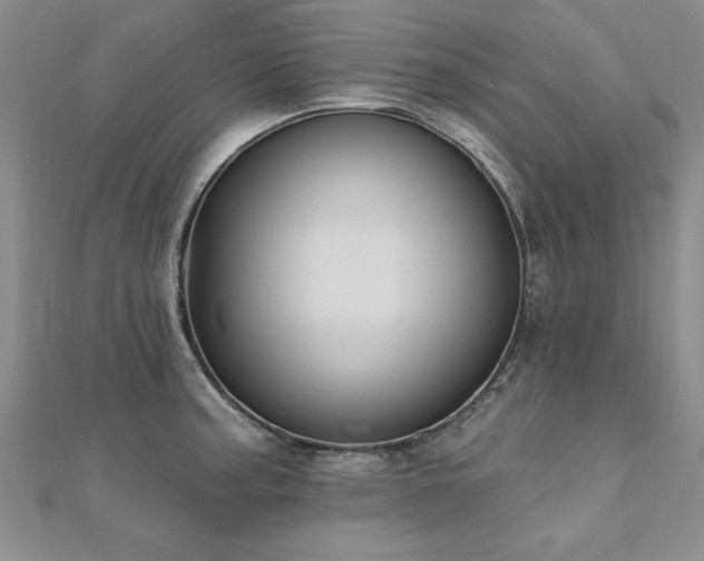 X0000112541187200908171436