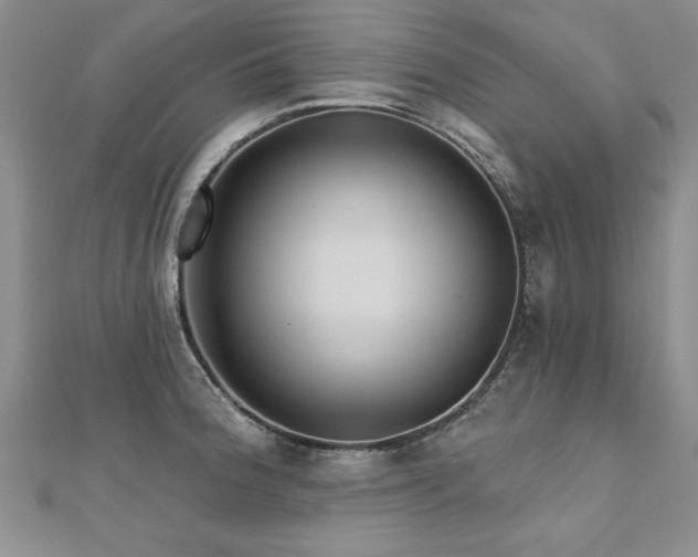 X0000112541188200908171436