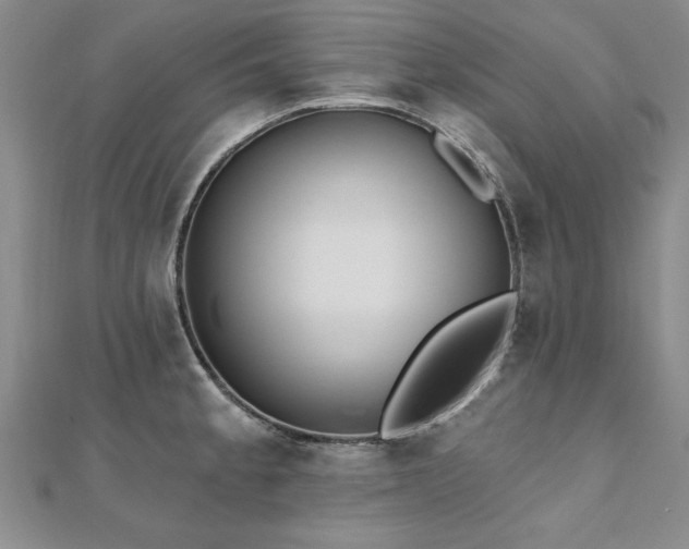 X0000112541189200908171436