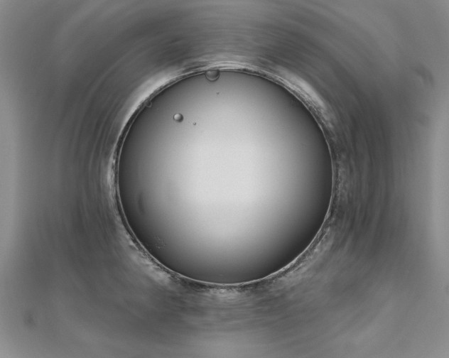X0000112541190200908171436