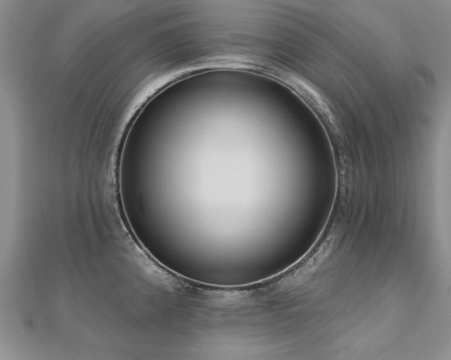 X0000112541192200908171436