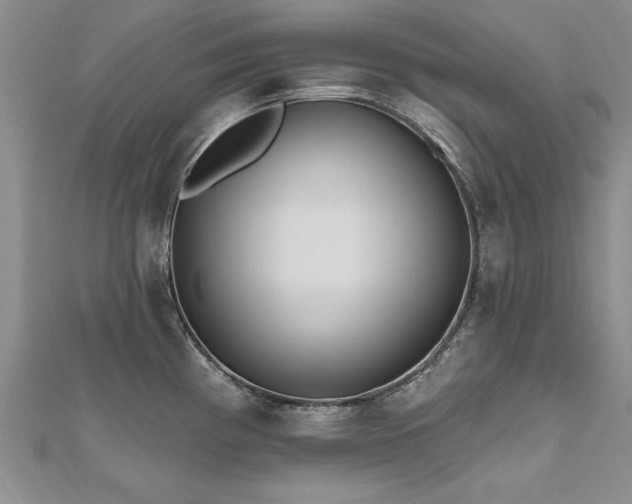 X0000112541193200908171436