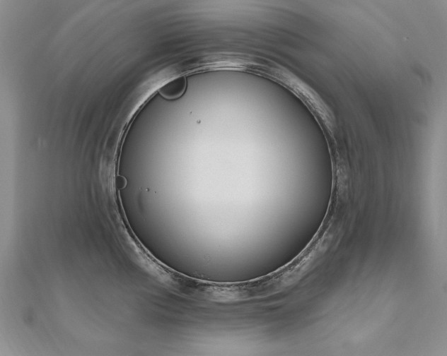 X0000112541194200908171436