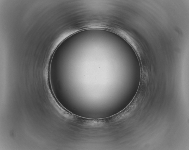 X0000112541195200908171436
