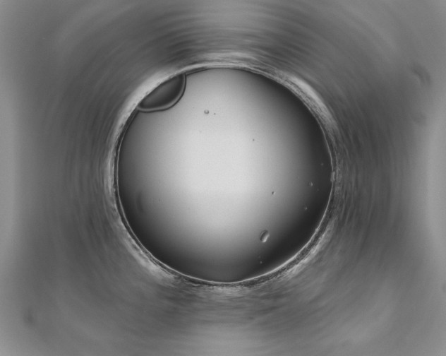 X0000112541196200908171436