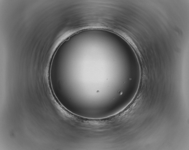 X0000112541197200908171436