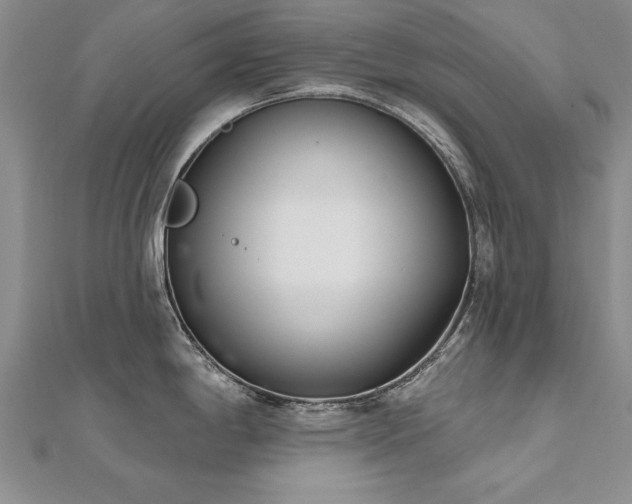X0000112541198200908171436