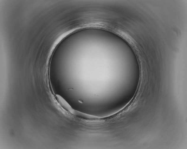 X0000112541200200908171436