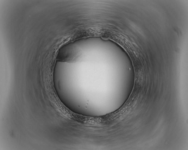 X0000112541201200908171435