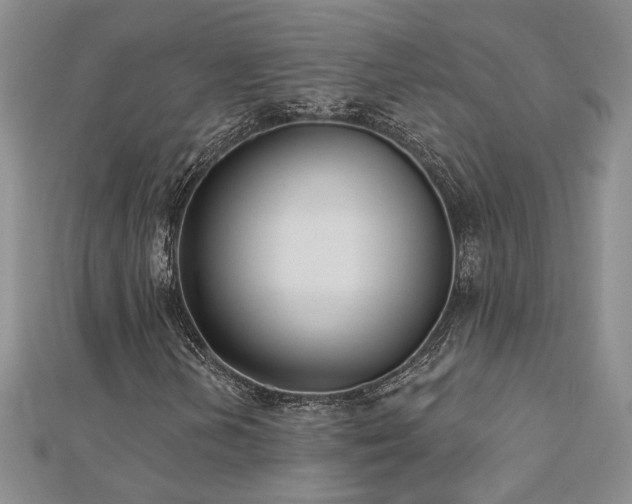 X0000112541202200908171435