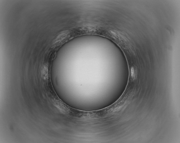 X0000112541203200908171435