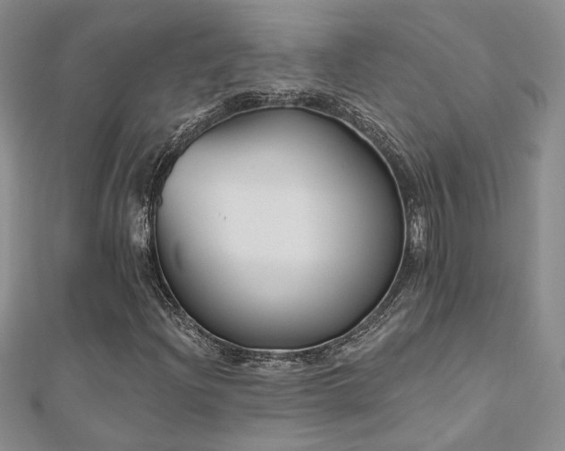 X0000112541204200908171435