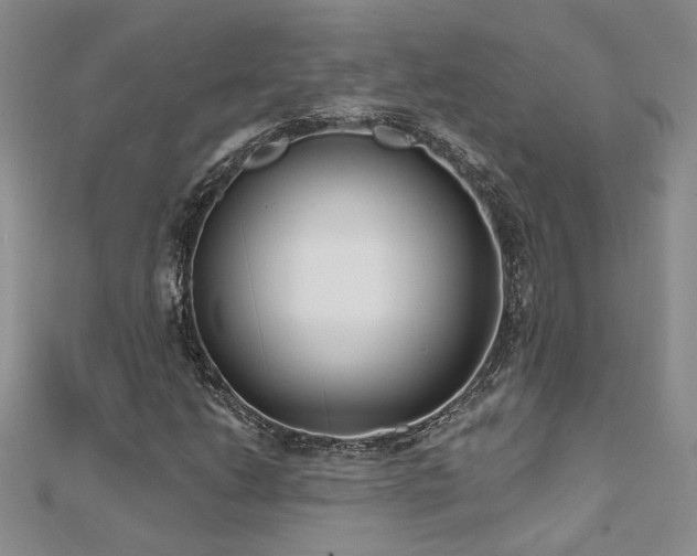 X0000112541206200908171435