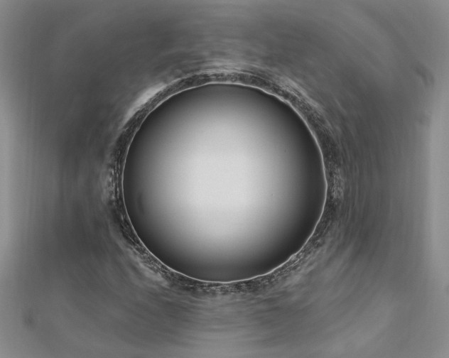 X0000112541208200908171435