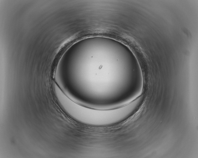 X0000112541210200908171435